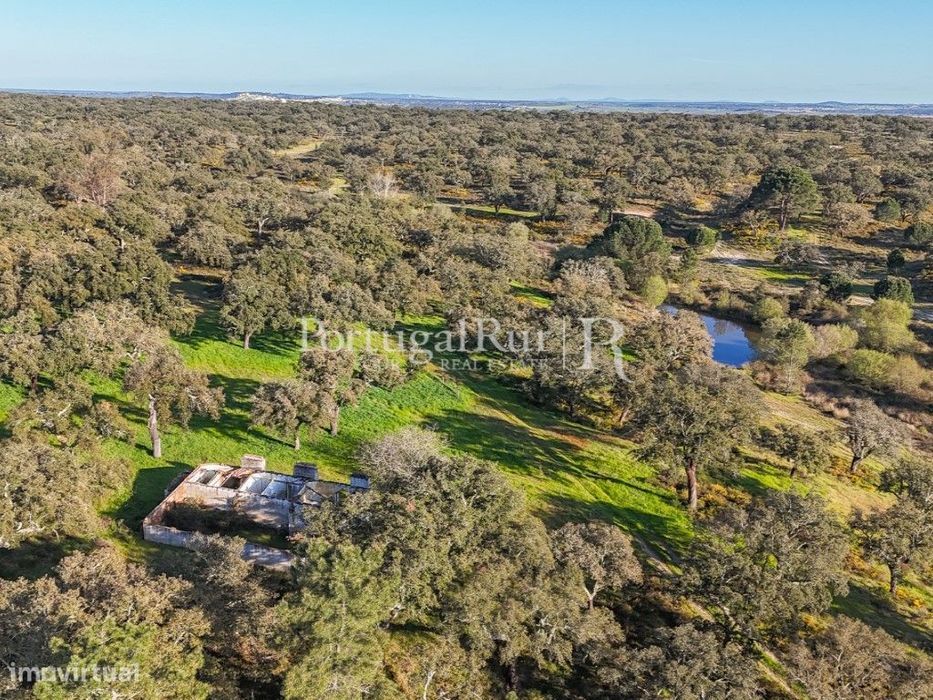 Herdade de 102 hectares com montado e Olival
