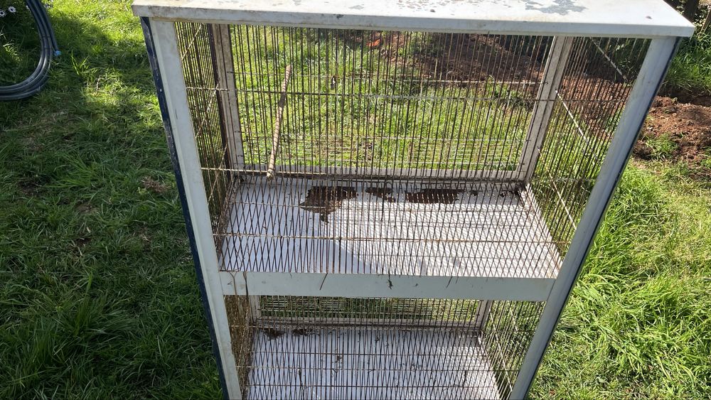 Gaiola criadeira dupla para aves