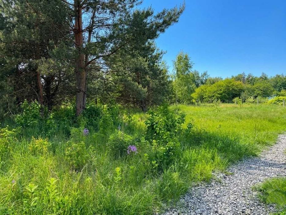 Продаж ділянки 12 соток для садівництва. Електрика поруч. Біля озера. ID:829