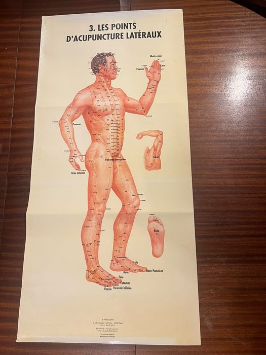 12 Posters / Pranchas de Acupuntura e Anatomia – PHU-XUAN Paris | MTC