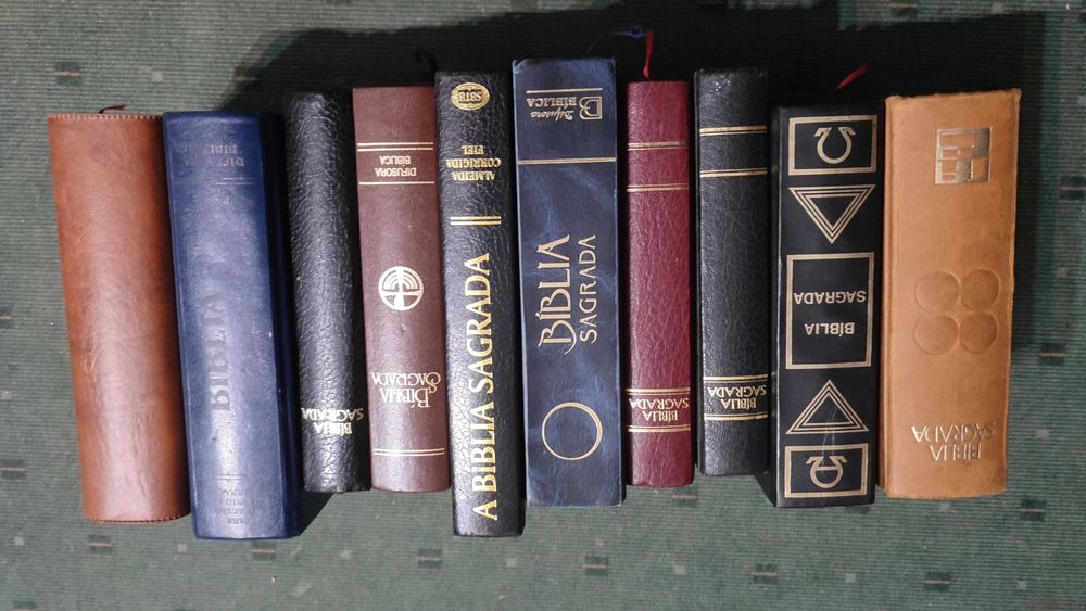 Lote 10 Biblias Diferentes Edições