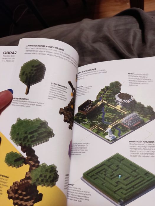 Poradnik Minecraft moja podręcznik kreatywnego budowania
