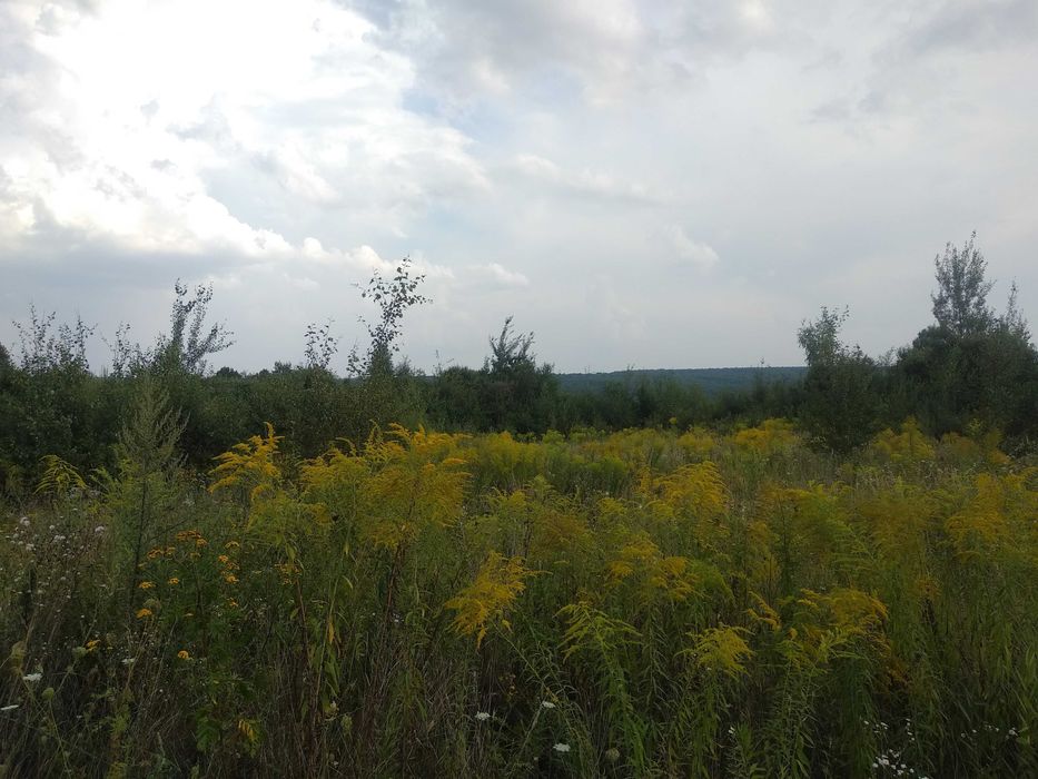 Земельна ділянка, 10 сотих, зручний заїзд із шоссе, 6 хв до міста _RR