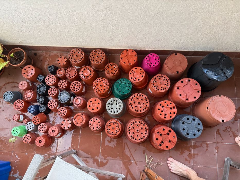 Vasos em plastico para plantas x 60