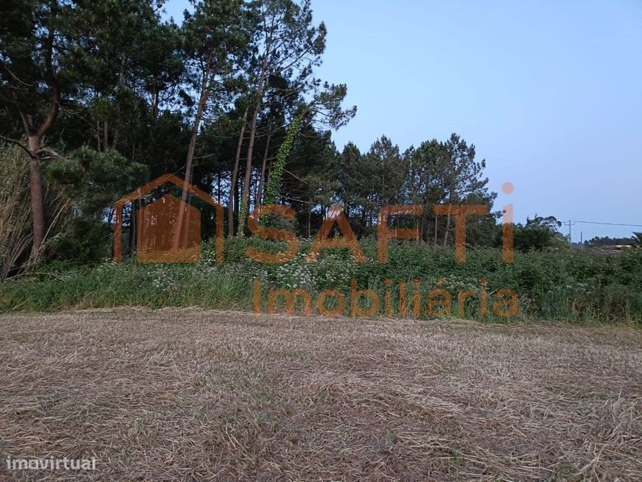 Terreno de Semeadura com 3.920 m² em Alfeizerão - Oportunidade Única! — Alfeizerão, Leiria