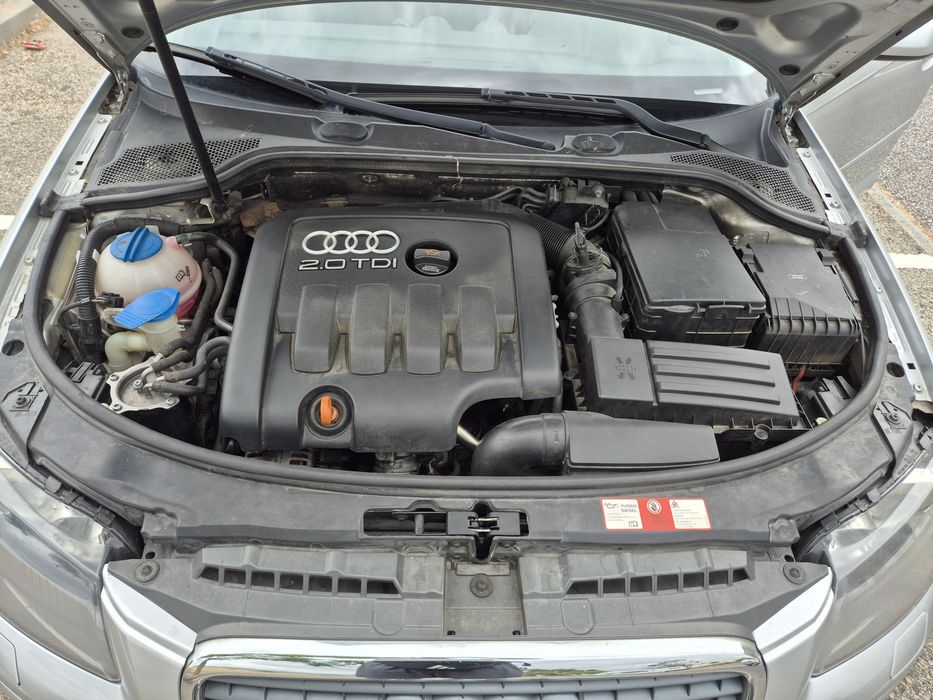 Audi A3 8P 2.0 TDI