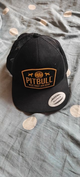 Czapka  Pit Bull