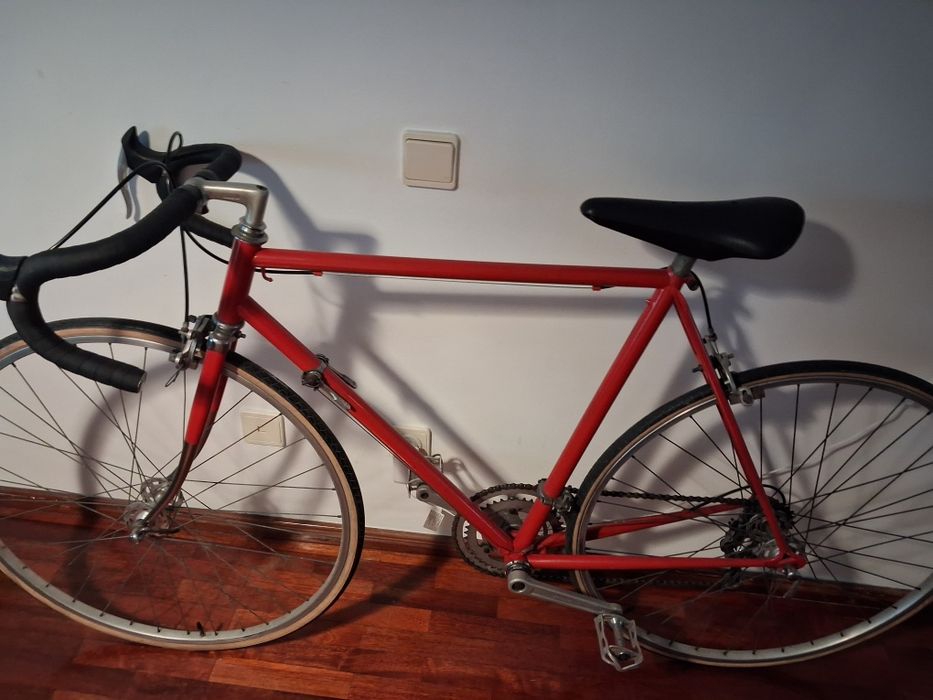 Bicicleta adulto