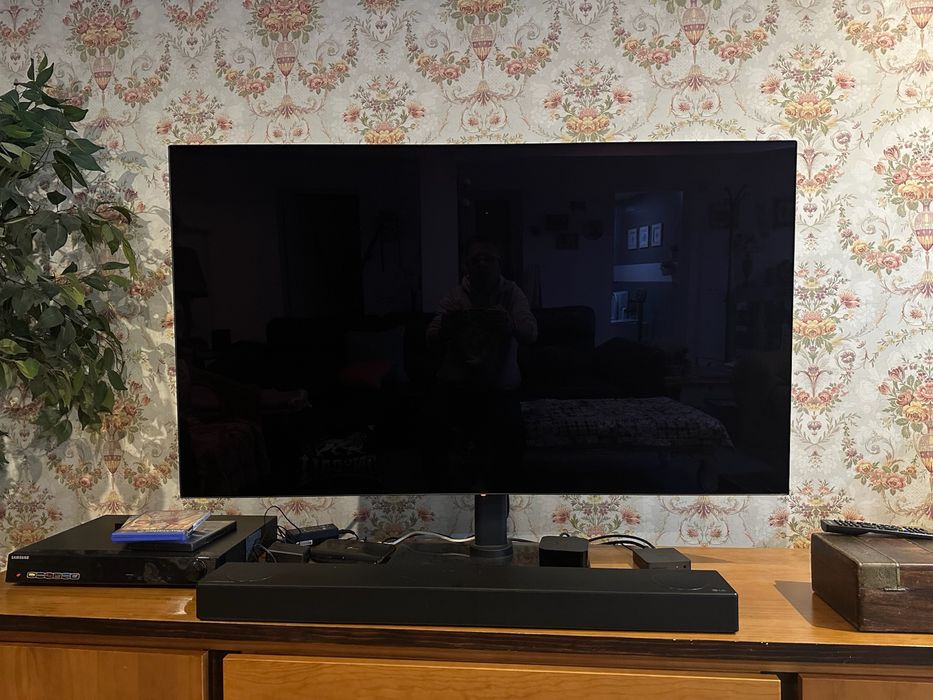 TV LG OLED 55'' Impecável