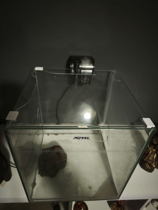 Aquario em cubo completo