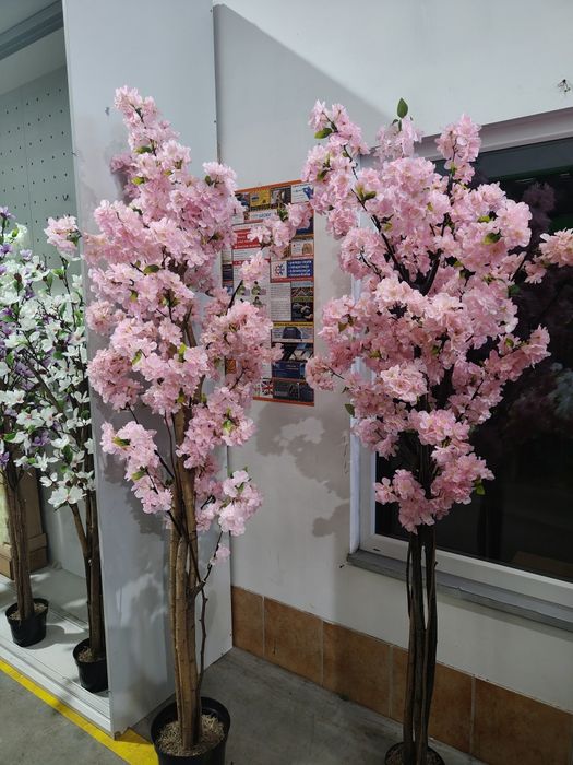 Drzewa sztucznej wiśni japońskiej