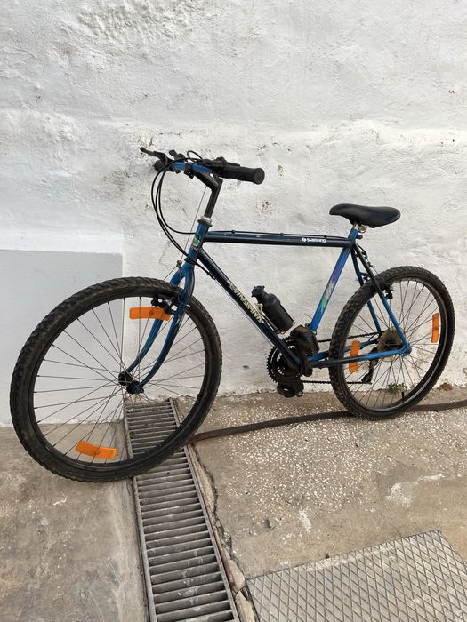 Bicicleta casual