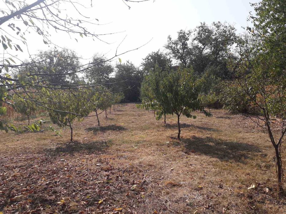 Будинок в Закарпатті продам/здам посуточно або на довготривалий строк.