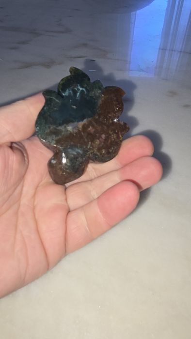 Ocean Jasper tartaruga