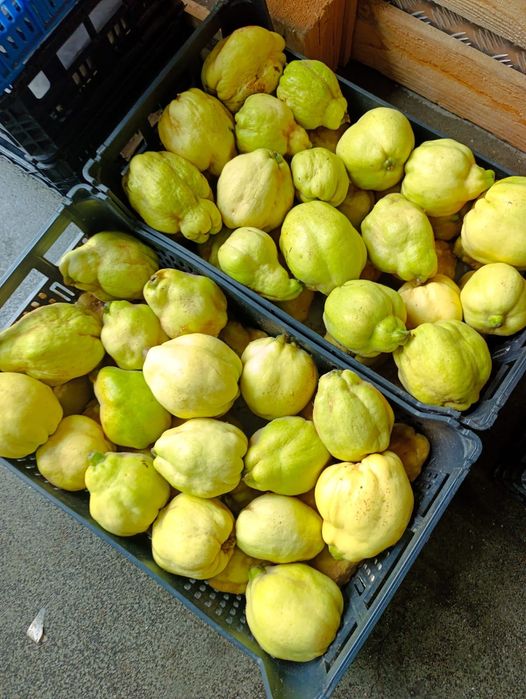 Marmelos Minimo 5 kg