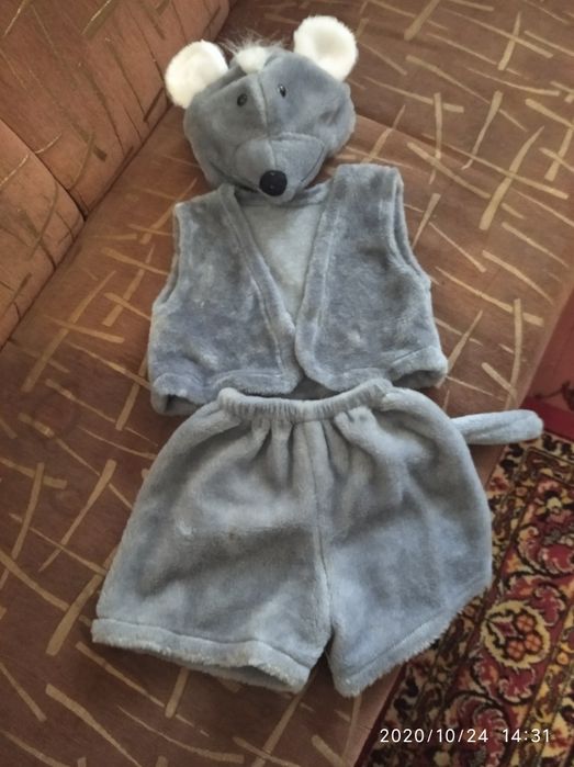 Костюмы на прокат ,мышки, ёлочка,восточного танца.Прокат