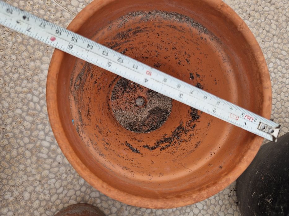 Lote de vasos de barro