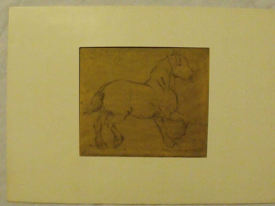 Elżbieta Fido Koń idący stępa sucha igła 1959