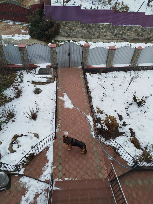 Житловий будинок з виходом до річки Південний Буг