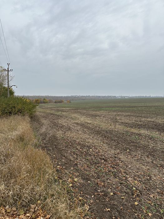 Участок под строительство, с.Новоалександровка, 2 га