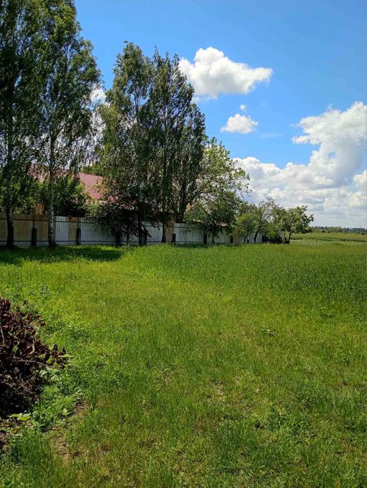Терміновий продаж великоі земельноі ділянки 75 км від м.Києва смт Брусилів (Морозівка)