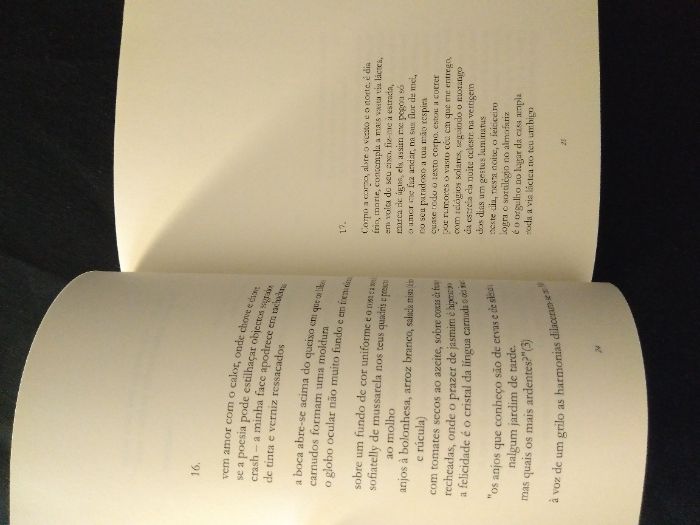 Raro - José Gil - Crash - Poesia