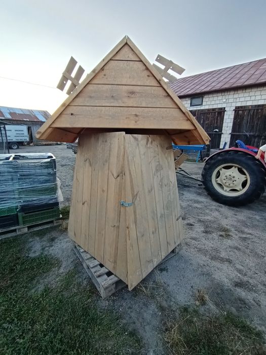 Wiartak ozdobny, ogród