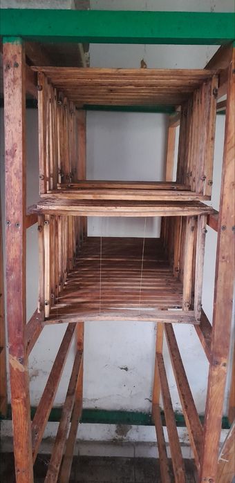 Ul Startery ramka wielkopolska