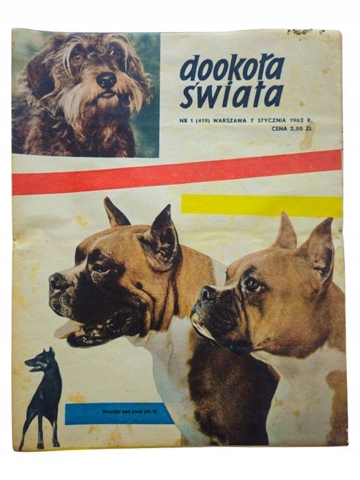 50x Dookoła Świata 1962 Czasopismo Tygodnik