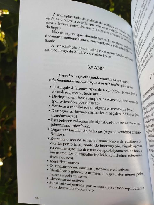 Evolução da comunicação linguística I