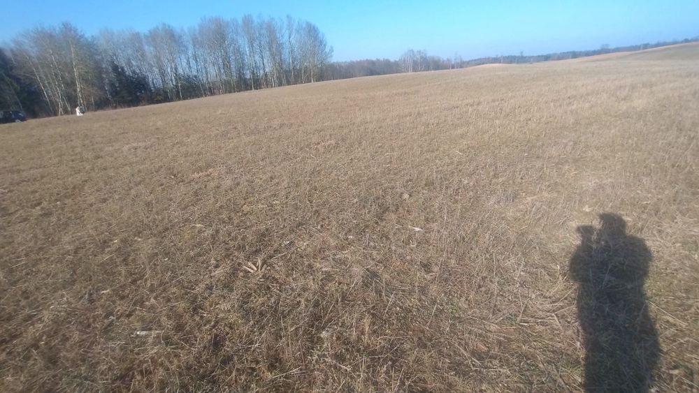 Działka z WZ Sędki Warmińsko Mazurskie