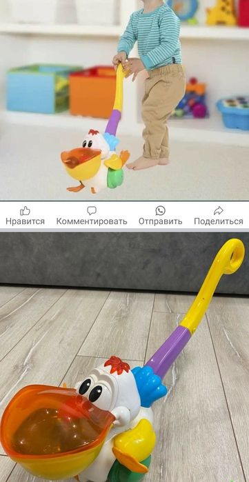 Пілікан Kiddilend