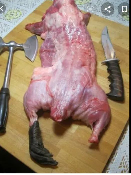 Мясо тушка нутрия 250грн/кг в наличии и под заказ доставка