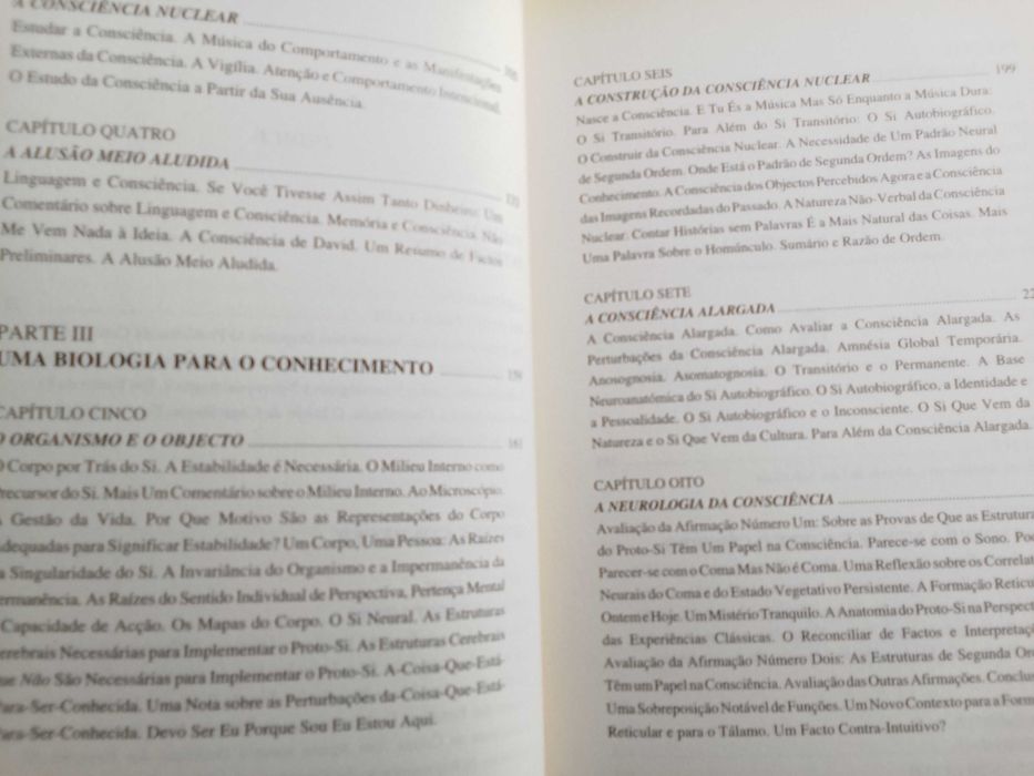 António Damásio - O sentimento de si