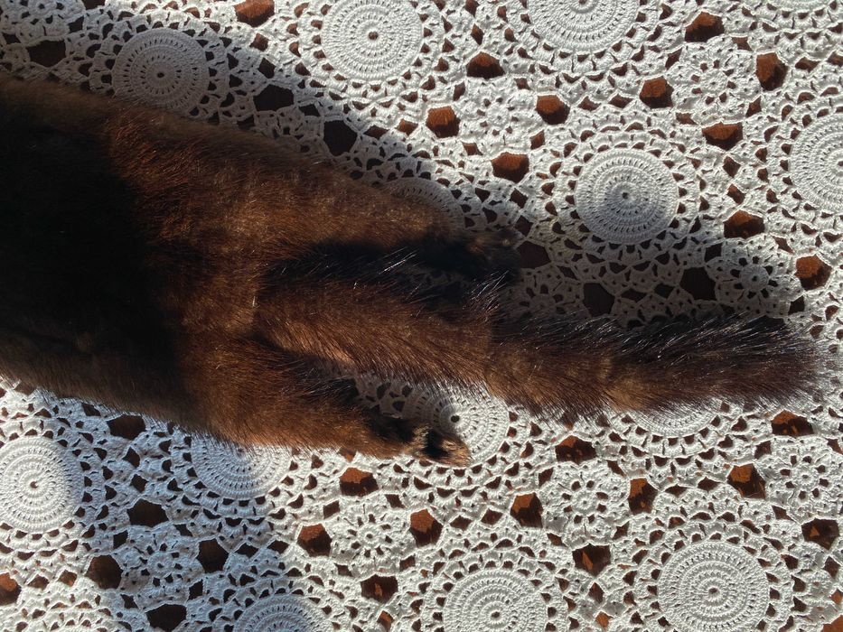 Estola em vison castanho escuro