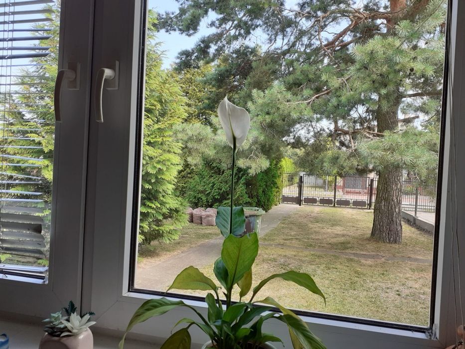 Dom 35 km od Warszawy