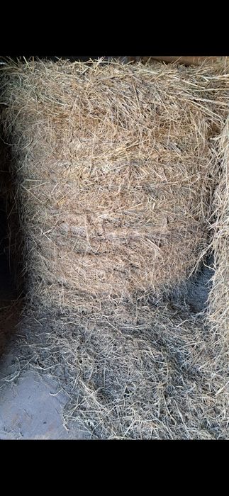 Sprzedam Siano rok 2025