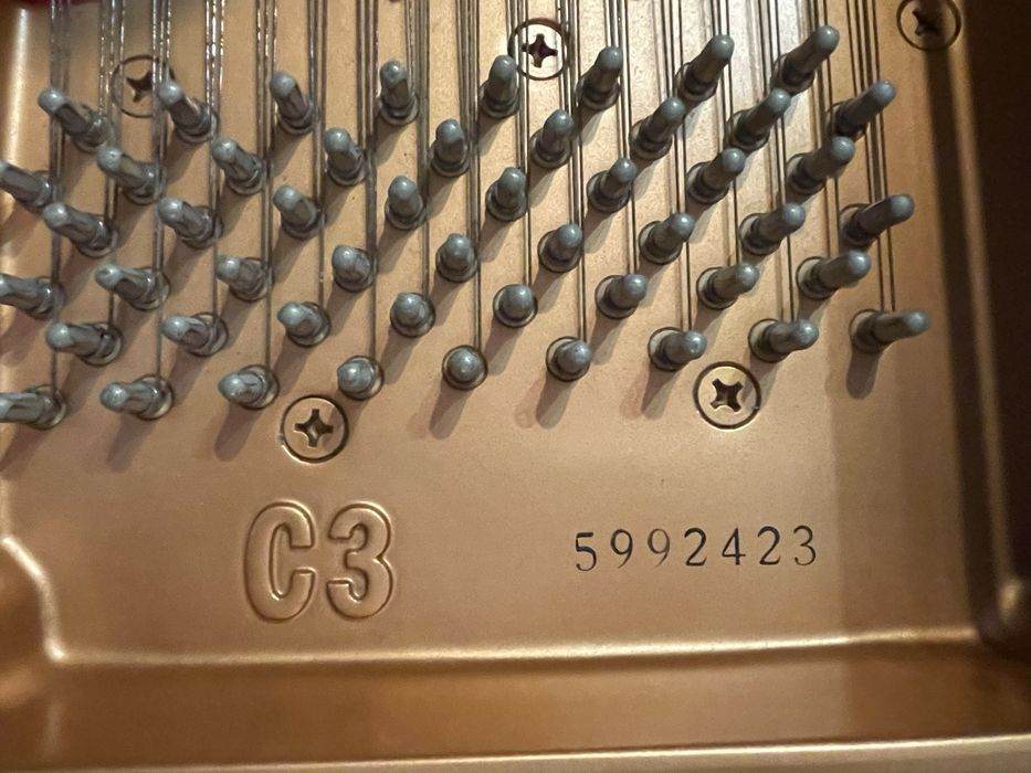 Piano de cauda Yamaha C3