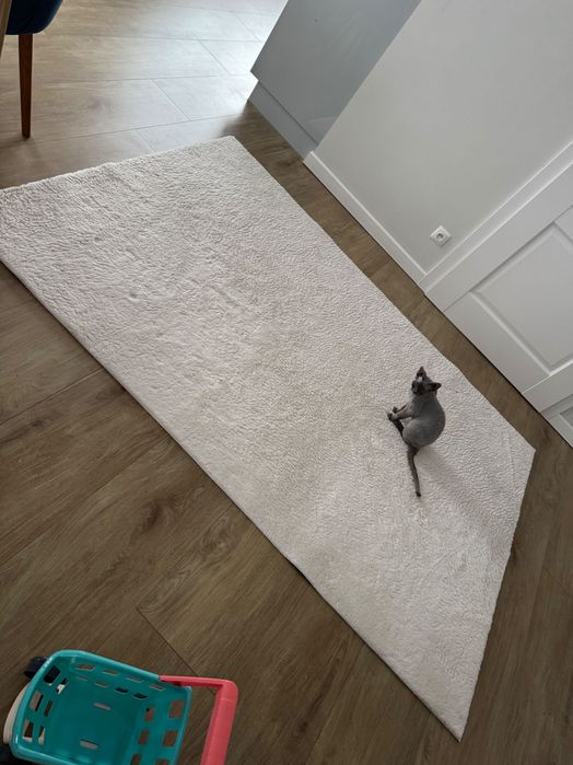 Sprzedam dywan 160x230 cm