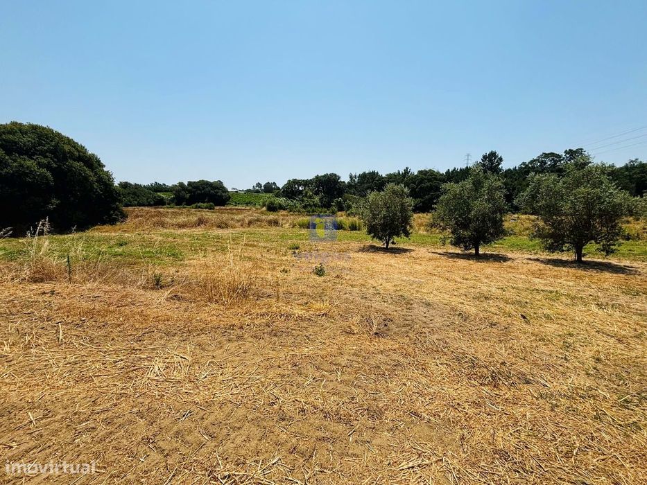 Terreno Urbano com 3.695 m2 em Alcoentre, com viabilidade de construçã — Alcoentre, Lisboa