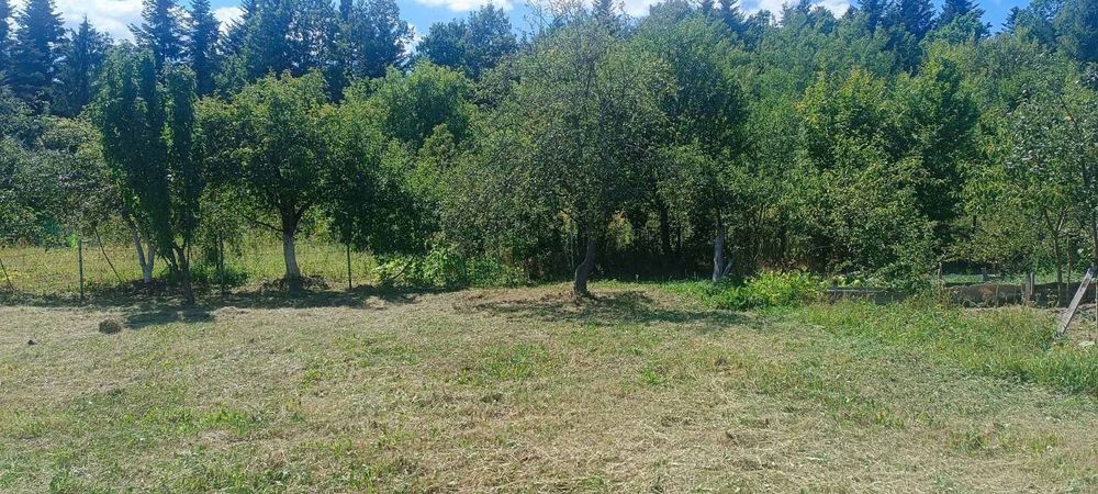 Продам! Земельну ділянку біля лісу в с.Рибне