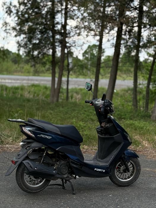Forte jog 80 2021