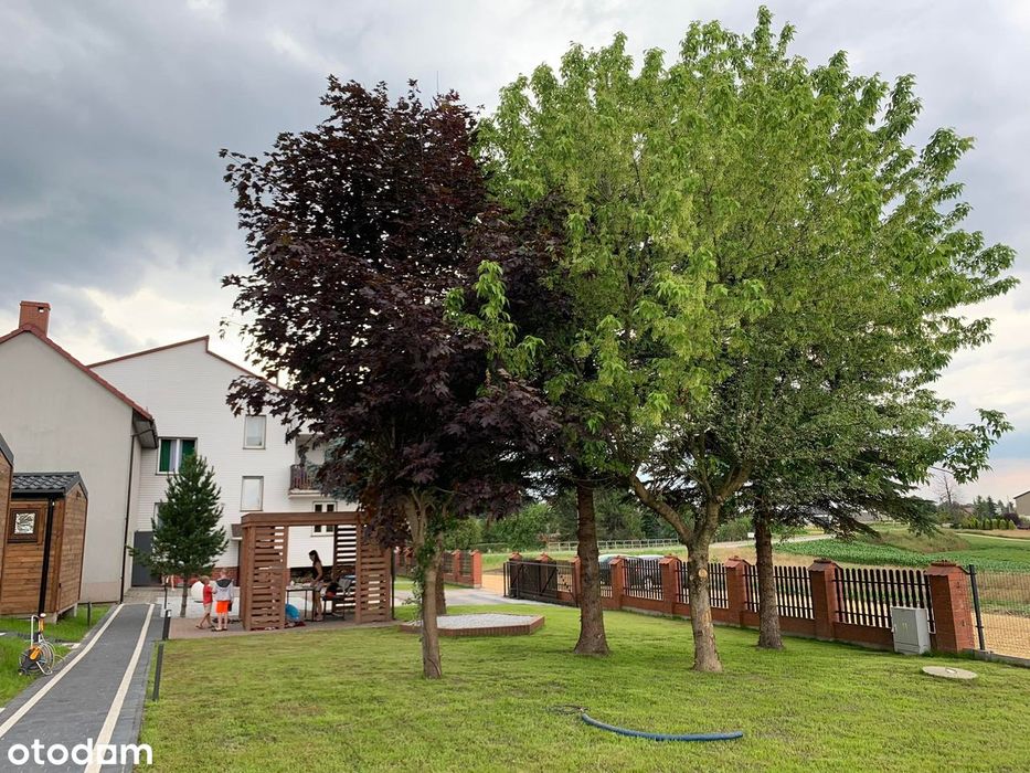 Kompleks Inwestycyjny | 6 Apartamentów + 4 Domki | Przy Energylandii