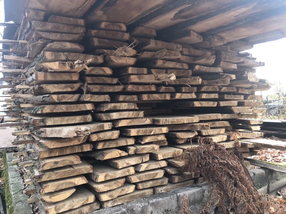 Необрезная доска тополя. Доска Тополь