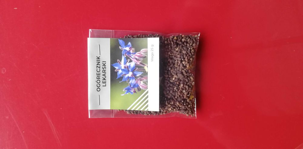 Miododajny ozdobny ogórecznik lekarski