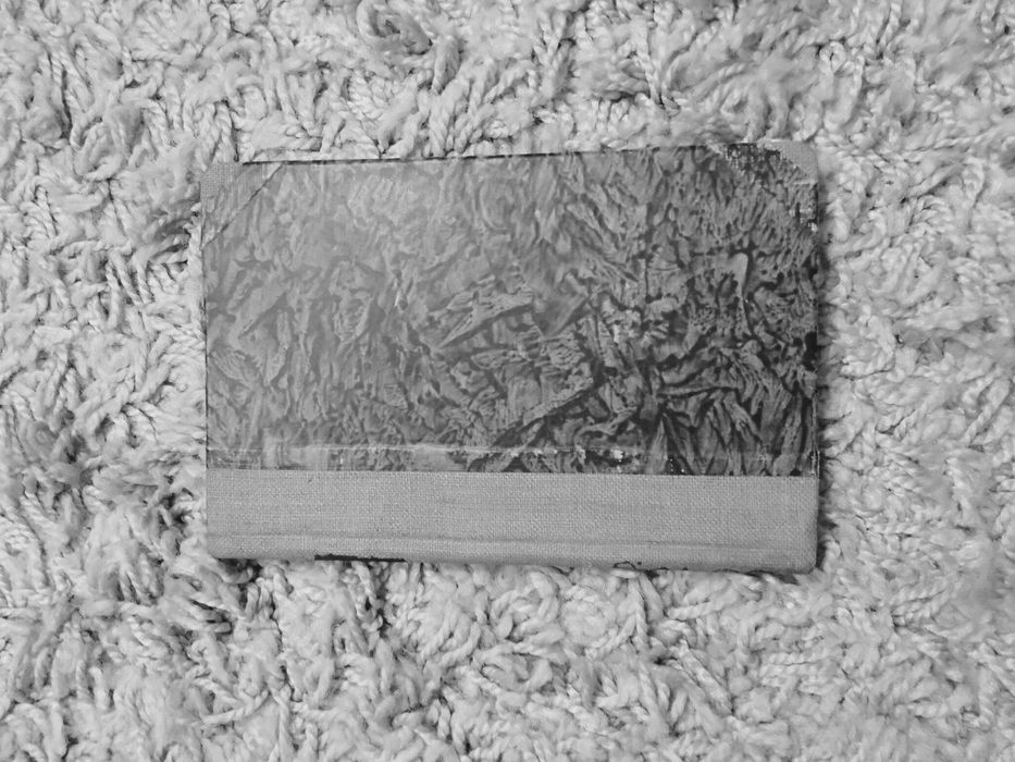 Pol Wincenty - Wit Stwosz. Poemat z pomników historycznych XV wieku.