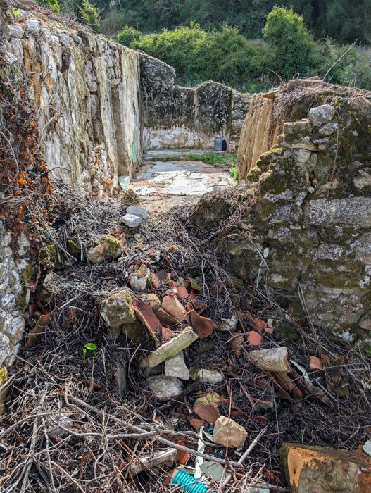 Venda de Ruína certificada