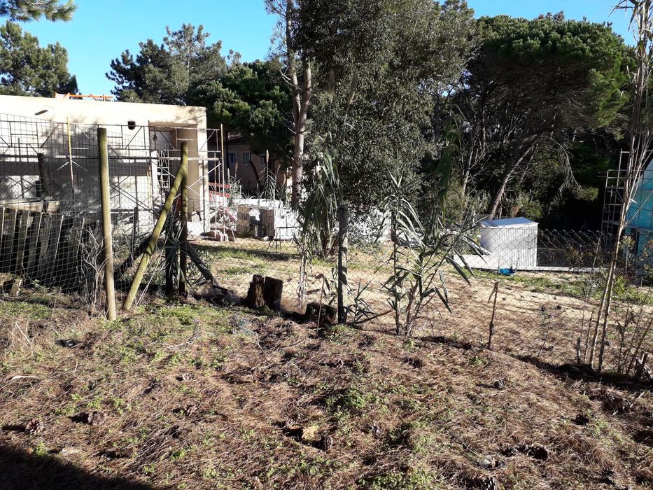 Terreno premium Sintra