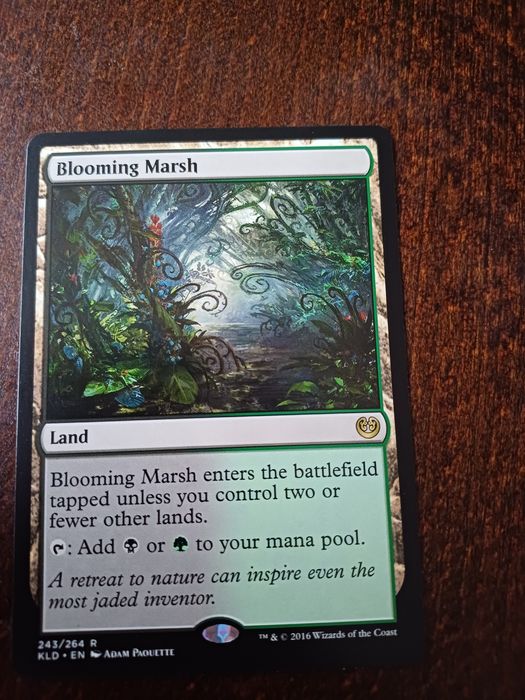 MTG Blooming Marsh