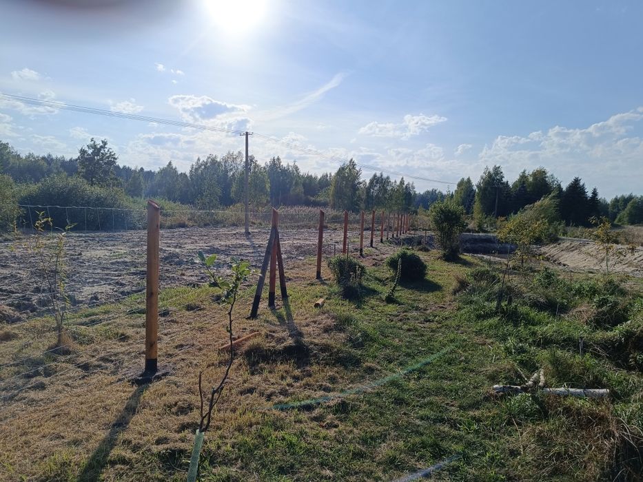 Ogrodzenie tymczasowe siatka leśna płot